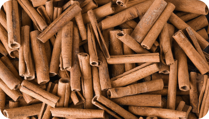 Pile of cinnamon sticks