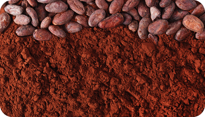 Pile of cocoa beans and powder