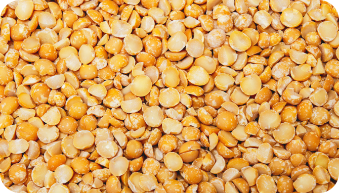 Pile of dried-yellow peas