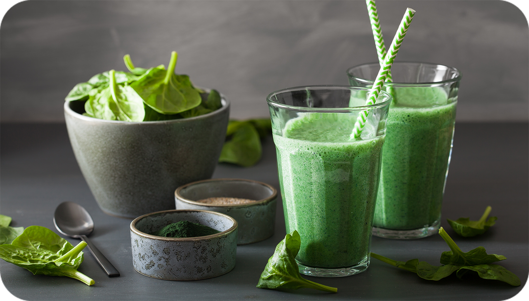 Green smoothies on grey table with spinach in the background.